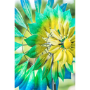 Evergreen Enterprises Oceanic Dimensions Wind Spinner - 75"