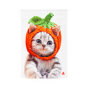 Evergreen Enterprises Cat with a Pumpkin Hat Garden Flag