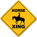 Noble Beasts Graphics Horse Xing Aluminium Sign - 12" X 12" - Yellow/Black