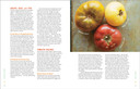 Workman Epic Tomatoes Book