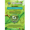 TipTopBio Control Whitefly Exterminator I Certificate - 500 ct