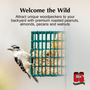 C&S Woodpecker Treat Suet 11 oz