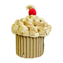Exotic Nutrition Elife Celebration Cupcake Toy - 4-1/2" x 2" x 5"
