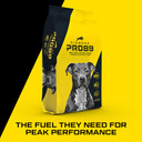 Diamond Pro 89 Dog Food 40 lb