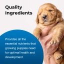 Goat’s Milk Esbilac® Puppy Milk Replacer Powder 5.3oz