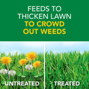 Scotts Turf Builder Weed & Feed Lawn Fertilizer - 11.32 lb