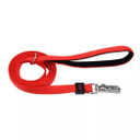 Coastal Pet Inspire Dog Leash - 1" X 6'