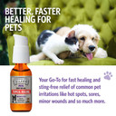 Sovereign Silver Pets First Aid Pump Gel for Dogs & Cats - 1 oz