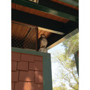 Bird B Gone Decoy Hawk Scare Birds