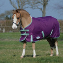 Weatherbeeta Comfitec Premier Freedom Pony Standard Neck Medium, Purple/Navy/Mint