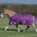 Weatherbeeta Comfitec Premier Freedom Pony Standard Neck Medium, Purple/Navy/Mint