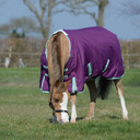 Weatherbeeta Comfitec Premier Freedom Pony Standard Neck Medium, Purple/Navy/Mint