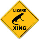 Noble Beasts Graphics Aluminum Lizard Xing Sign - 12" X 12"