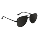 Blenders Shadow Assertive Style Polarized Sunglasses