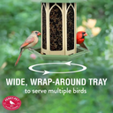 Perky-Pet Pistachio Gazebo Feeder