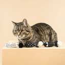 Petshop Fringe Studio Off the Scales Cat Toy