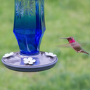 Perky-Pet Sapphire Starburst Vintage Glass Hummingbird Feeder - 16 oz