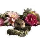 Exotic Nutrition NativeCritter Timothy Rings - 3-1/2"