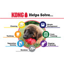 Kong Puppy Rubber Dog Chew Toy - X-Small