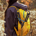 Woodland Tools Compact Duralight Hedge Shear - 17"