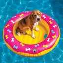 Bigmouth Pets Bone Patterned Pool Float for Dog - 36"