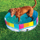 BigMouth the Colors of the Rainbow Splash Pool for Dog - 47" X 47" X 11"