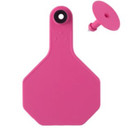 Y-TEX All American 3-Star Ear Tag with Button - Pink