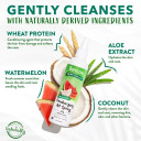 TropiClean Watermelon Deodorizing Spray for Pet - 8 fl oz