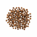 Petcurean GO! Solutions Carnivore Grain Free Chicken, Turkey + Duck Recipe Dry Cat Food - 3 lb