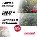 Chapin Home and Garden Poly Tank Sprayer - 1 gal - 2 pk