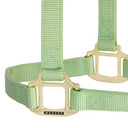 Weaver Equine Nylon Non-Adjustable Halter