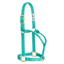 Weaver Equine Nylon Non-Adjustable Halter