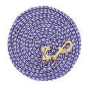 Weaver Equine Poly Lead Rope with a Solid Brass 225 Snap - 10'