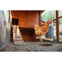Exotic Nutrition Solid Hardwood Chicken Swing - 42"