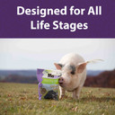 Mazuri Immune Support Healthy Skin Mini Pig Treat - 3.5 lb