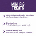 Mazuri Immune Support Healthy Skin Mini Pig Treat - 3.5 lb