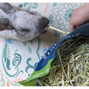 Blue Mountain Hay High-Altitude Grown Timothy Hay For Small Animal