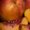 Fantasia Nectarine - 7 Gallon