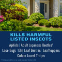 BioAdvanced Shrub Care Protect & Feed, Granules, 4 lb