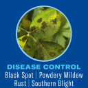 BioAdvanced Shrub Care Protect & Feed, Granules, 4 lb