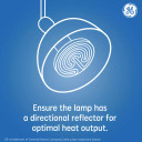 GE 100W Ceramic Heat Lamp