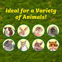 Exotic Nutrition Crinkle Barrel With Apple Sticks - 5-1/2" X 2" X 1"