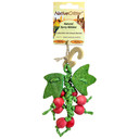 Exotic Nutrition Native Critter Berry Nibbler - 9" X 3" X 1"