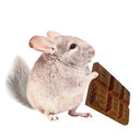 Exotic Nutrition Willow Crunch Bar Food for Small Animal - 0.5 oz