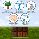 Exotic Nutrition Willow Crunch Bar Food for Small Animal - 0.5 oz