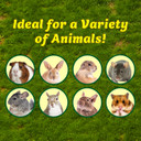 Exotic Nutrition NatvieCritter Dandelion Root Chews For Small Animal - 4" X 4" X 4"