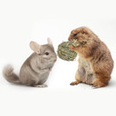 Exotic Nutrition Natural Timothy Play Ball - 3.8 oz