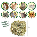 Exotic Nutrition Natural Timothy Play Ball - 3.8 oz