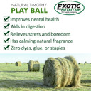 Exotic Nutrition Natural Timothy Play Ball - 3.8 oz