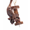 Exotic Nutrition Native Dumbbell - 5-1/2"x2-1/2"